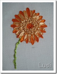 IMG_1221 IMG_1221