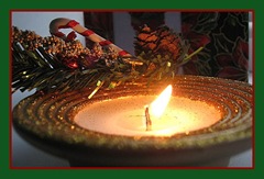 IMG_23652 IMG_23652