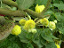 DSCN4936.JPG