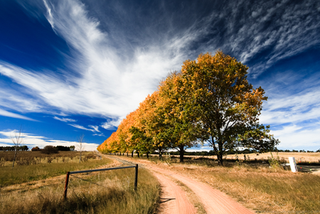 road-to-glen-innes road-to-glen-innes