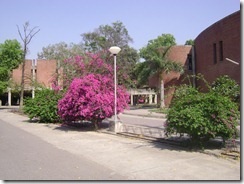 DSC02174