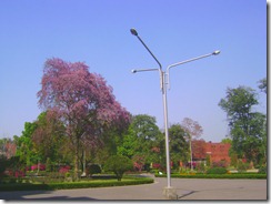 DSC02177