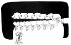 Thumbnail image for Does the Palestinian Diaspora Care Enough To Become Engaged?