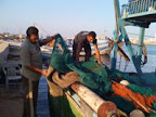 Thumbnail image for In Gaza, Dreaming of Fish and Flowers