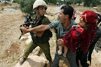 Thumbnail image for Abdullah Abu Rahmah: A Message from Israeli Military Prison on International Human Rights Day