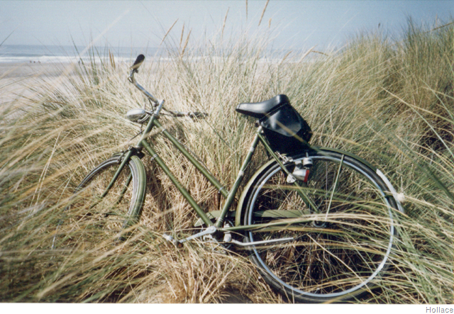 [bike-1992[6].png]