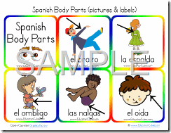 Spanish Body Parts (pictures_labels)