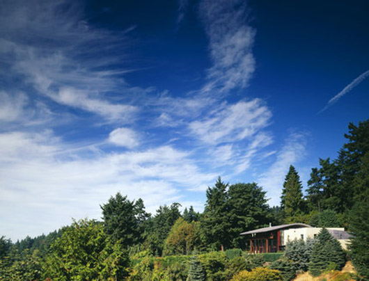 Curved Roof Modern House Design And Studio Curved Roof Modern House Design