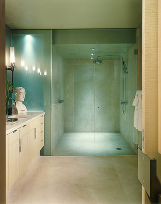 Modern Washington Park Apartment Interior Decorating Ideas modern apartment interior decorating Bathroom ideas