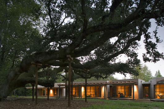 Glass Residence Design Landscape Architectural - Exterior Design glass residence landscape architectural Exterior Design