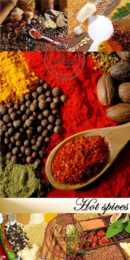 Stock Photo: Hot Spices