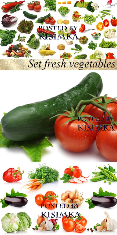 Stock Photo: Set fresh vegetables Stock Photo: Set fresh vegetables