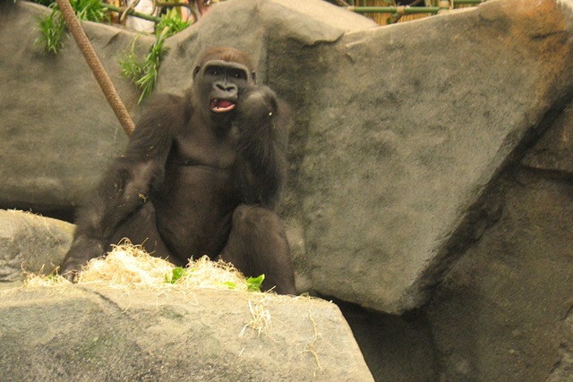 [June20101593.jpg]