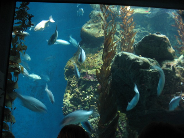 [June2010 098.jpg]