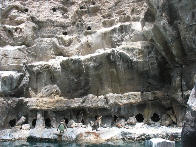 [June2010 101.jpg]