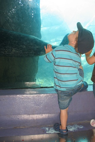 [June20103632.jpg]