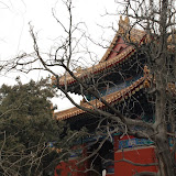 Beijing - Confucius Temple