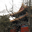 Beijing - Confucius Temple