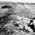 gewehr41walther.jpg
