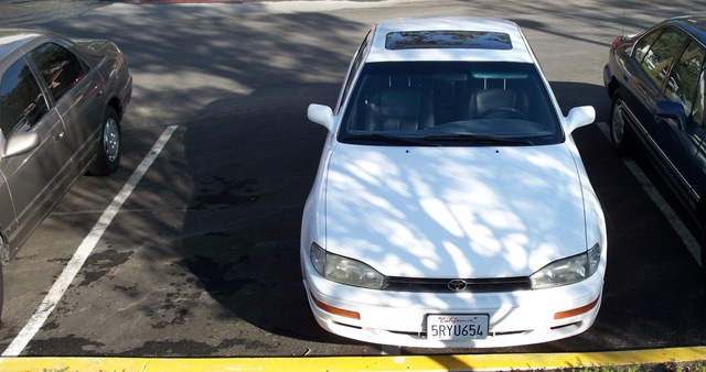 [100_0569[2].jpg]