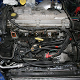 IMG_6316.JPG