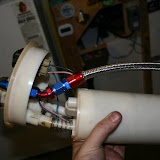 IMG_6575.JPG