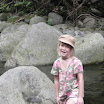 swinging_bridges6.jpg