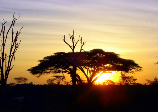 African Landscape Best Wallpaper