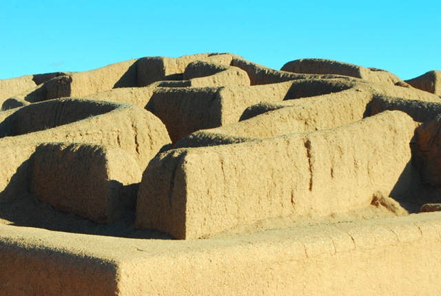 [Chihuahua03912.jpg]