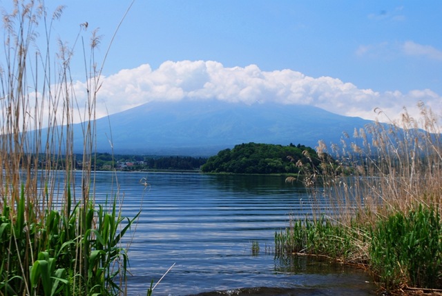 [Fuji0155.jpg]