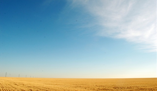 [VersAlmaty0056.jpg]