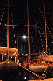 PACA 023