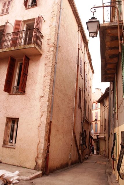 [PACA0645.jpg]