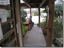 IMG_4594 IMG_4594
