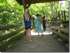 IMG_5417 IMG_5417