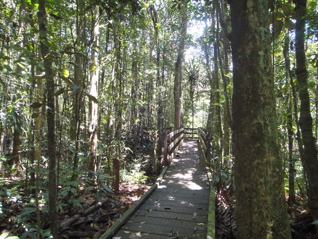 [DSC00765[3].jpg]