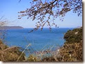 DSC01466 DSC01466