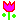 DIMG0828 DIMG0828