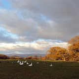 DSC03656.JPG
