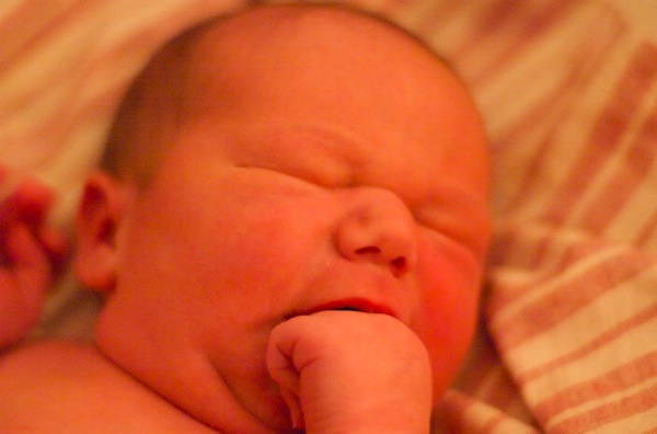 Dalwyn Jeremy Rowe