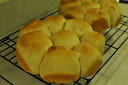 Thumbnail image for Honey Whole Wheat Dinner Rolls