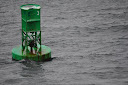Thumbnail image for Wordless Wednesday 9.15.2010