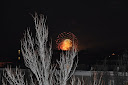 Thumbnail image for Wordless Wednesday 1.5.2011
