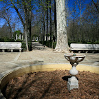 IMG_5445.jpg