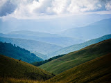 IMG_4043.jpg