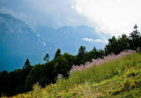 IMG_4235.jpg