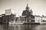 IMG_1224.jpg