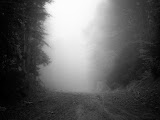 IMG_4806.jpg
