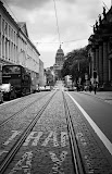IMG_6258.jpg