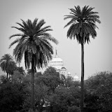IMG_7617.jpg